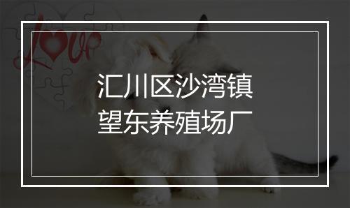 汇川区沙湾镇望东养殖场厂