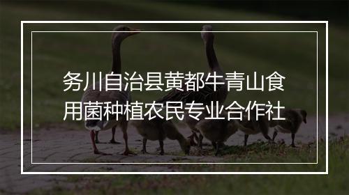 务川自治县黄都牛青山食用菌种植农民专业合作社