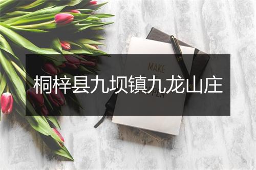 桐梓县九坝镇九龙山庄