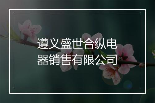 遵义盛世合纵电器销售有限公司