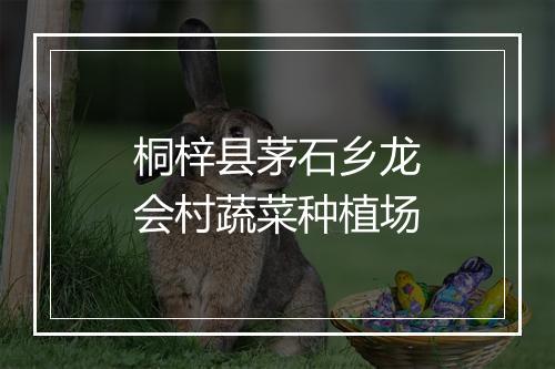 桐梓县茅石乡龙会村蔬菜种植场