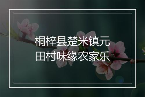 桐梓县楚米镇元田村味缘农家乐