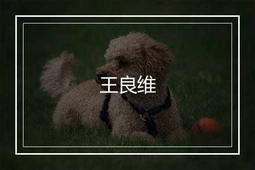 王良维