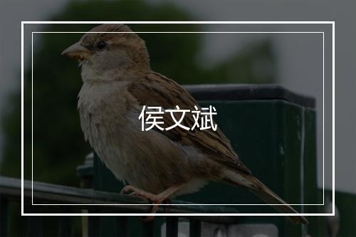 侯文斌
