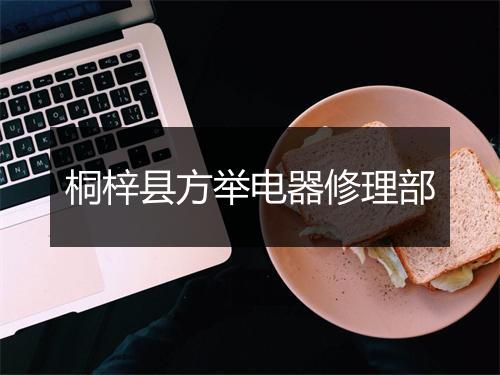 桐梓县方举电器修理部