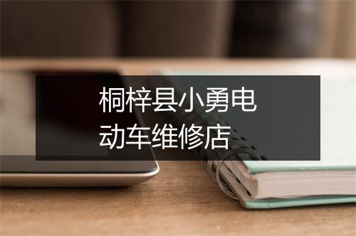 桐梓县小勇电动车维修店