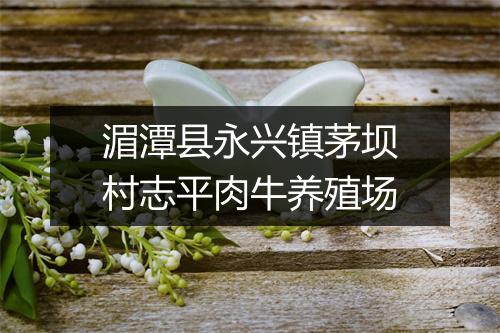 湄潭县永兴镇茅坝村志平肉牛养殖场