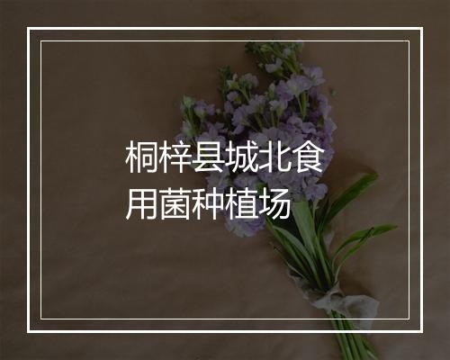 桐梓县城北食用菌种植场