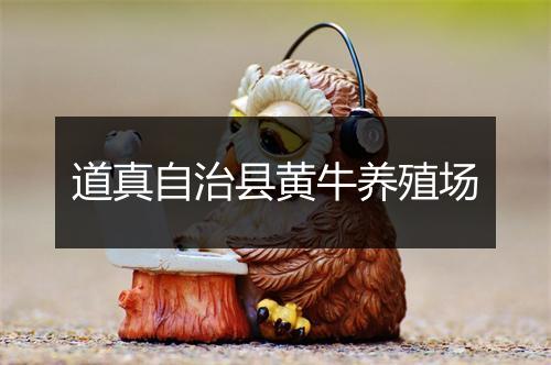 道真自治县黄牛养殖场