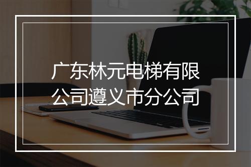 广东林元电梯有限公司遵义市分公司