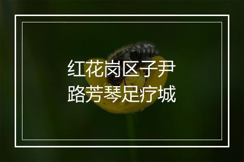 红花岗区子尹路芳琴足疗城