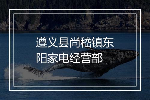 遵义县尚嵇镇东阳家电经营部