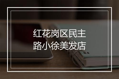 红花岗区民主路小徐美发店