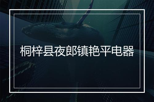 桐梓县夜郎镇艳平电器