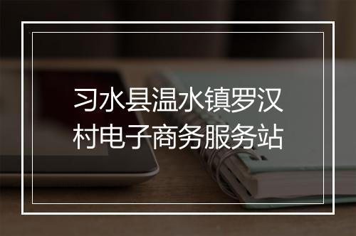 习水县温水镇罗汉村电子商务服务站