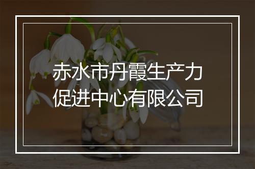 赤水市丹霞生产力促进中心有限公司