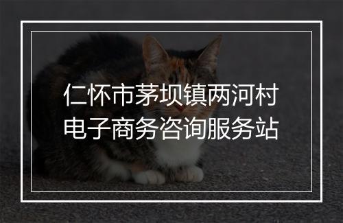 仁怀市茅坝镇两河村电子商务咨询服务站