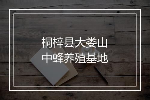 桐梓县大娄山中蜂养殖基地