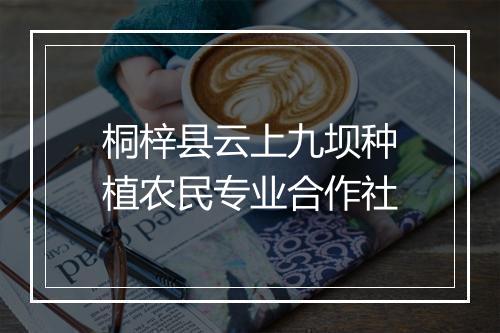 桐梓县云上九坝种植农民专业合作社