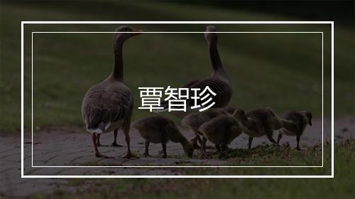覃智珍