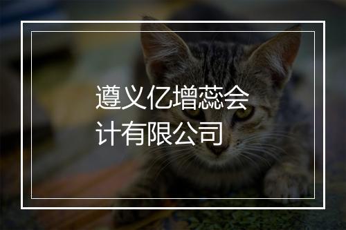 遵义亿增蕊会计有限公司