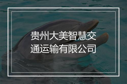 贵州大美智慧交通运输有限公司