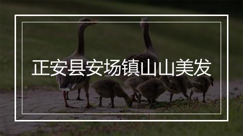正安县安场镇山山美发