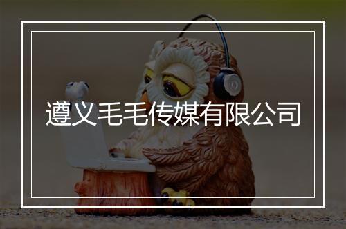遵义毛毛传媒有限公司