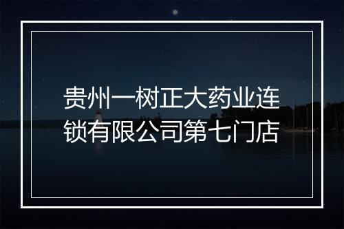 贵州一树正大药业连锁有限公司第七门店