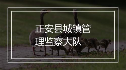 正安县城镇管理监察大队
