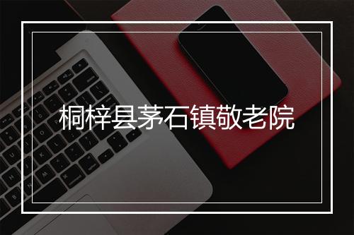 桐梓县茅石镇敬老院