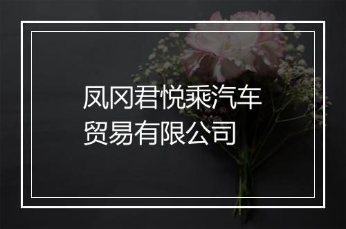 凤冈君悦乘汽车贸易有限公司