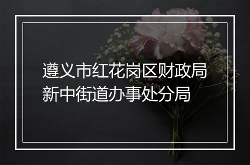 遵义市红花岗区财政局新中街道办事处分局
