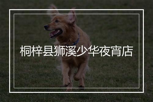 桐梓县狮溪少华夜宵店