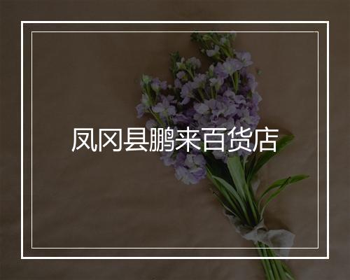 凤冈县鹏来百货店