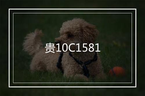 贵10C1581