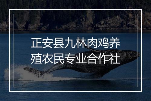 正安县九林肉鸡养殖农民专业合作社
