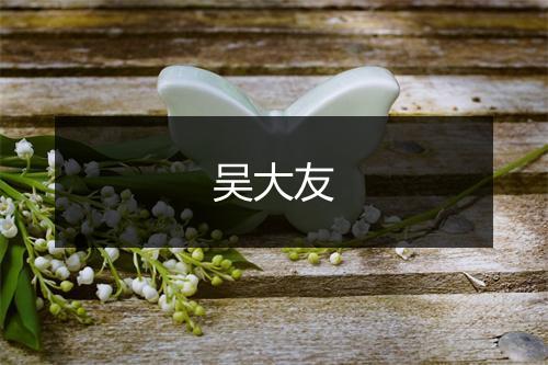 吴大友