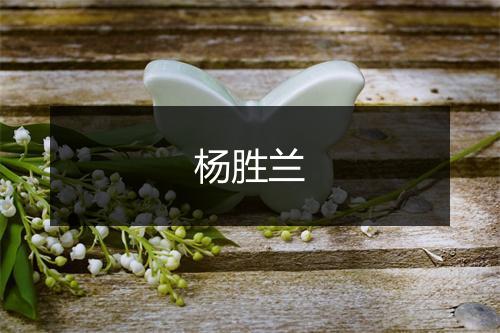 杨胜兰