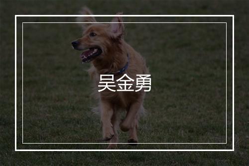 吴金勇