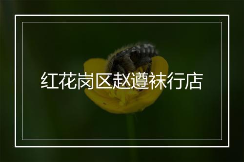 红花岗区赵遵袜行店