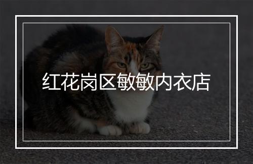 红花岗区敏敏内衣店