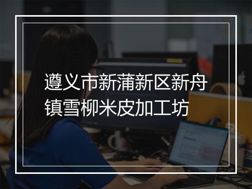 遵义市新蒲新区新舟镇雪柳米皮加工坊