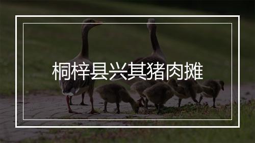桐梓县兴其猪肉摊