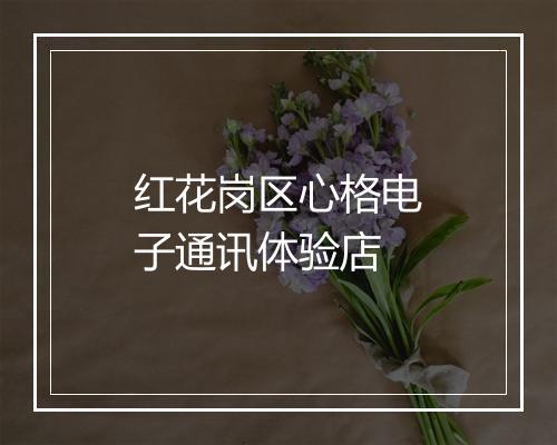 红花岗区心格电子通讯体验店