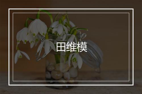 田维模