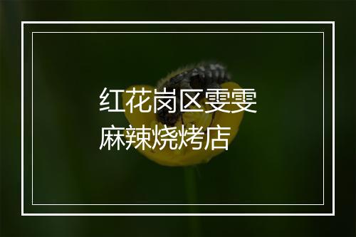红花岗区雯雯麻辣烧烤店