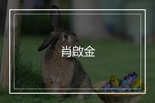 肖啟金