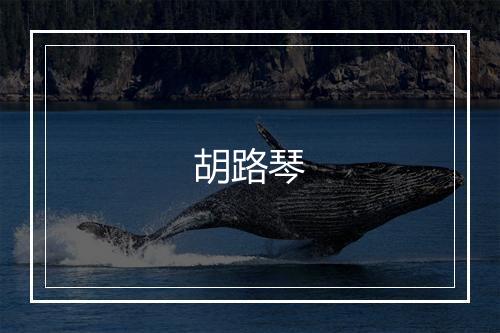 胡路琴