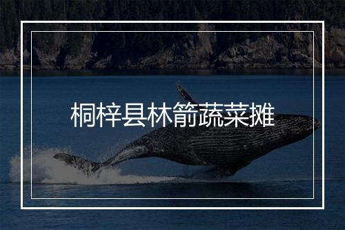 桐梓县林箭蔬菜摊
